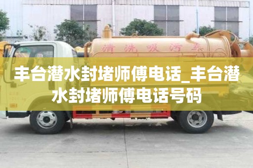 豐臺潛水封堵師傅電話_豐臺潛水封堵師傅電話號碼