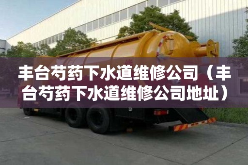 豐臺(tái)芍藥下水道維修公司（豐臺(tái)芍藥下水道維修公司地址）