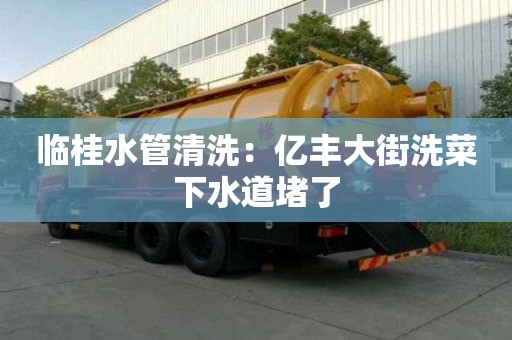 臨桂水管清洗：億豐大街洗菜下水道堵了