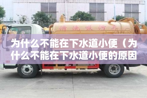 為什么不能在下水道小便（為什么不能在下水道小便的原因）