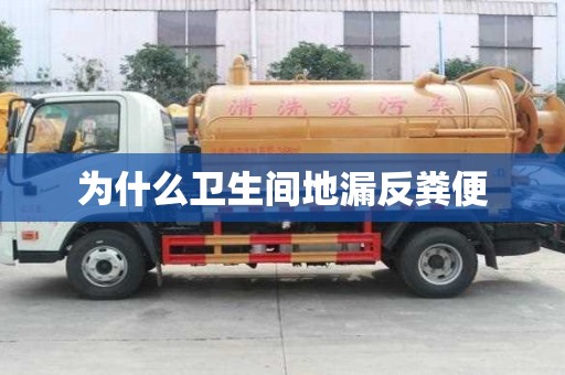 為什么衛(wèi)生間地漏反糞便