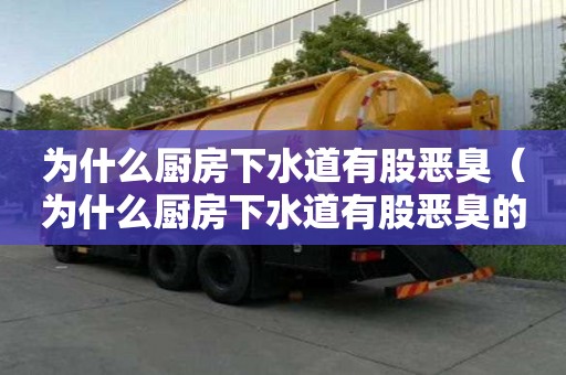 為什么廚房下水道有股惡臭（為什么廚房下水道有股惡臭的味道）