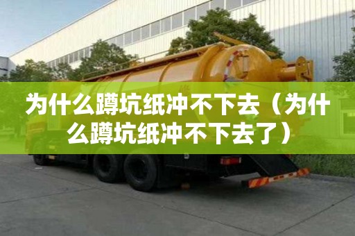 為什么蹲坑紙沖不下去（為什么蹲坑紙沖不下去了）