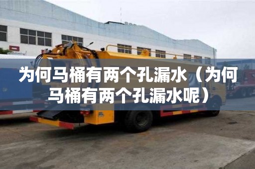 為何馬桶有兩個孔漏水（為何馬桶有兩個孔漏水呢）