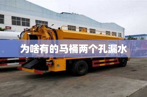 為啥有的馬桶兩個孔漏水