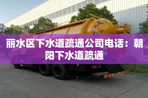麗水區下水道疏通公司電話：朝陽下水道疏通