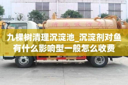 九棵樹清理沉淀池_沉淀劑對魚有什么影響型一般怎么收費(fèi)