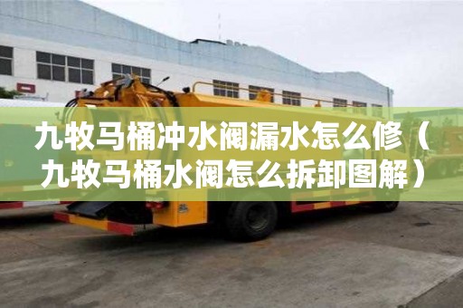 九牧馬桶沖水閥漏水怎么修（九牧馬桶水閥怎么拆卸圖解）