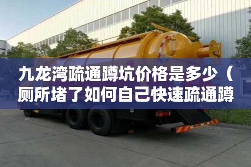 九龍灣疏通蹲坑價格是多少（廁所堵了如何自己快速疏通蹲坑堵塞）