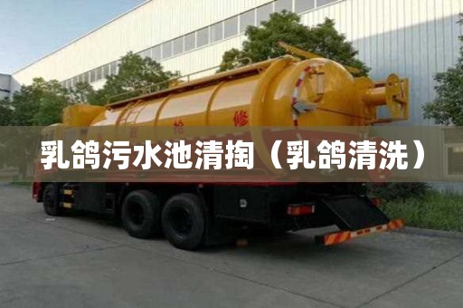 乳鴿污水池清掏（乳鴿清洗）