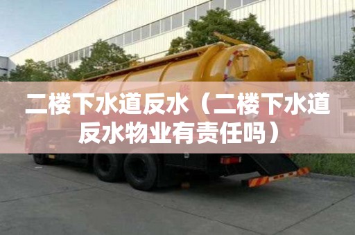 二樓下水道反水（二樓下水道反水物業有責任嗎）