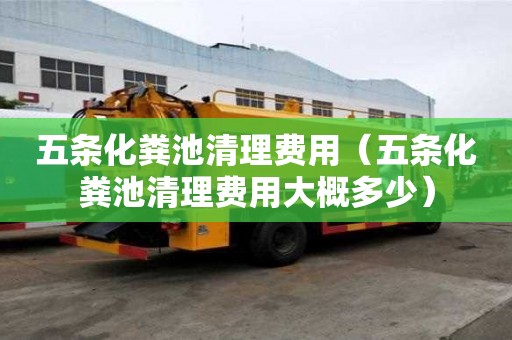 五條化糞池清理費(fèi)用（五條化糞池清理費(fèi)用大概多少）