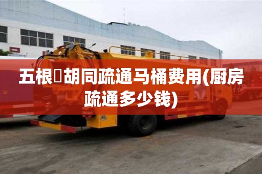 五根橫胡同疏通馬桶費用(廚房疏通多少錢) 五根橫胡同疏通馬桶費用(廚房疏通多少錢)