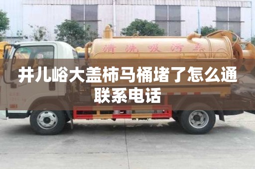 井兒峪大蓋柿馬桶堵了怎么通聯系電話