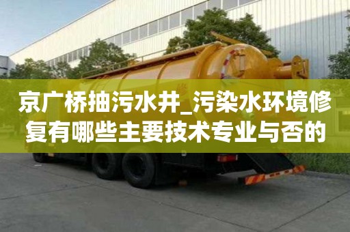 京廣橋抽污水井_污染水環境修復有哪些主要技術專業與否的條件