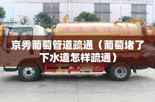 京秀葡萄管道疏通（葡萄堵了下水道怎樣疏通）