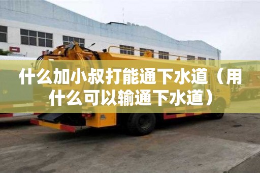 什么加小叔打能通下水道（用什么可以輸通下水道）