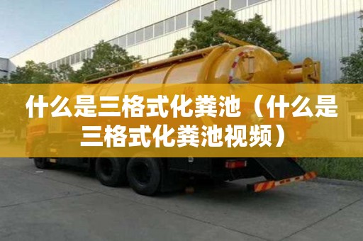 什么是三格式化糞池（什么是三格式化糞池視頻）