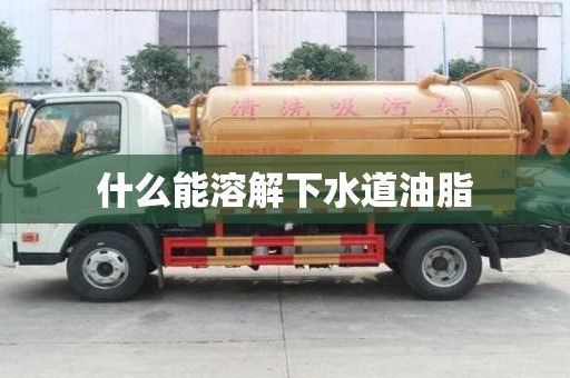 什么能溶解下水道油脂