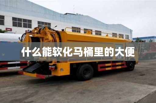 什么能軟化馬桶里的大便