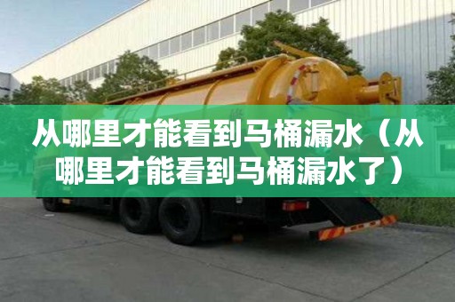 從哪里才能看到馬桶漏水（從哪里才能看到馬桶漏水了）