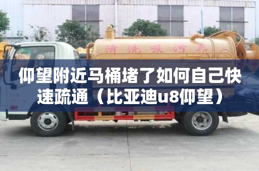 仰望附近馬桶堵了如何自己快速疏通（比亞迪u8仰望）