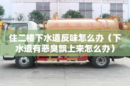住二樓下水道反味怎么辦（下水道有惡臭飄上來怎么辦）