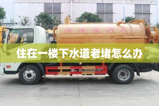 住在一樓下水道老堵怎么辦