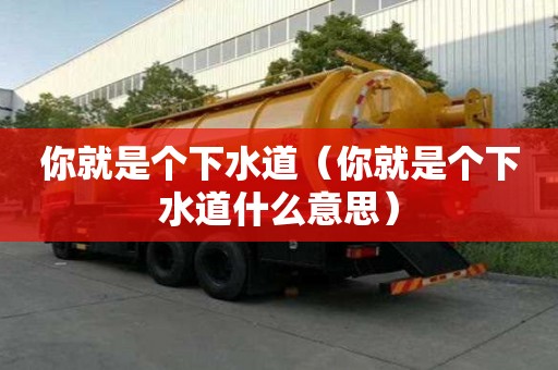 你就是個下水道（你就是個下水道什么意思）