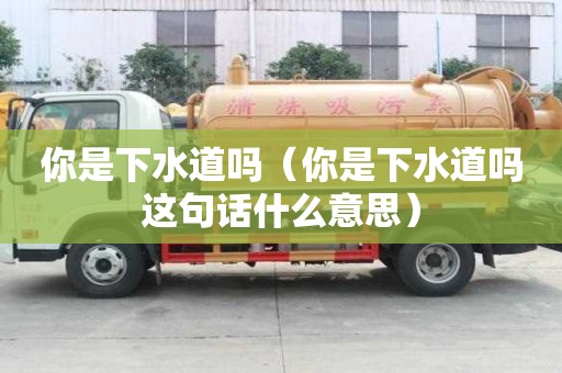 你是下水道嗎（你是下水道嗎這句話什么意思）