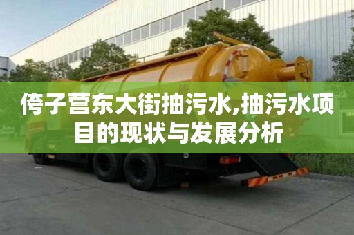 侉子營東大街抽污水,抽污水項目的現狀與發展分析