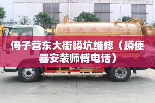 侉子營東大街蹲坑維修（蹲便器安裝師傅電話）