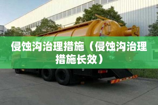 侵蝕溝治理措施（侵蝕溝治理措施長效）
