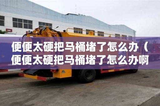 便便太硬把馬桶堵了怎么辦（便便太硬把馬桶堵了怎么辦啊）