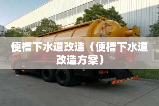便槽下水道改造（便槽下水道改造方案）