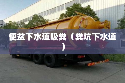 便盆下水道吸糞（糞坑下水道）