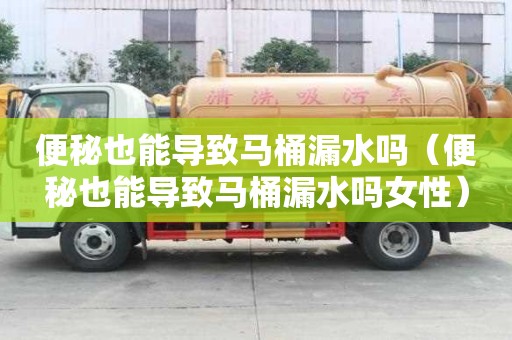 便秘也能導致馬桶漏水嗎（便秘也能導致馬桶漏水嗎女性）