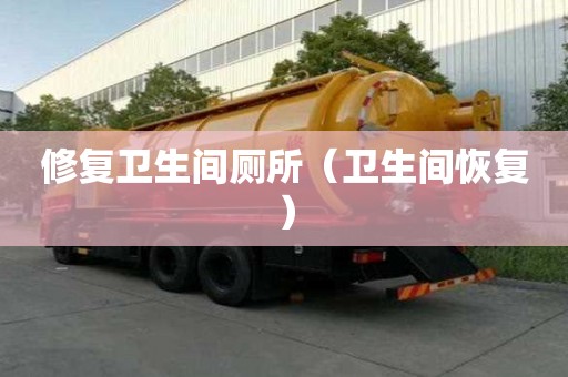 修復衛生間廁所（衛生間恢復）