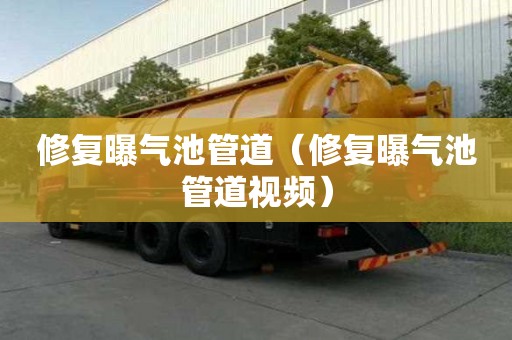 修復曝氣池管道（修復曝氣池管道視頻）