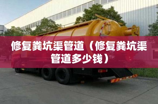 修復糞坑渠管道（修復糞坑渠管道多少錢）