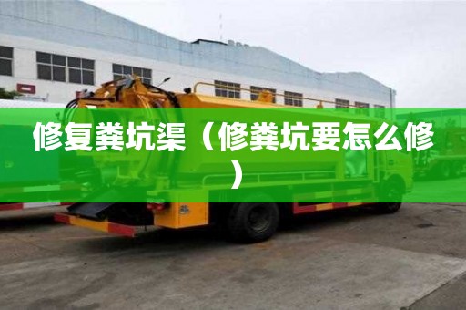 修復糞坑渠（修糞坑要怎么修）