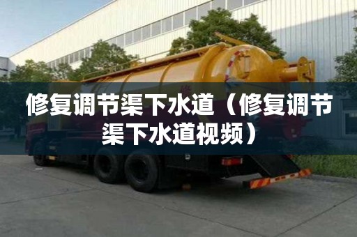 修復調節渠下水道（修復調節渠下水道視頻）