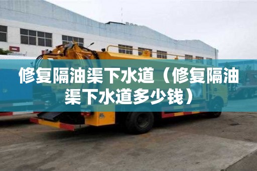 修復隔油渠下水道(修復隔油渠下水道多少錢) 修復隔油渠下水道(修復隔油渠下水道多少錢)