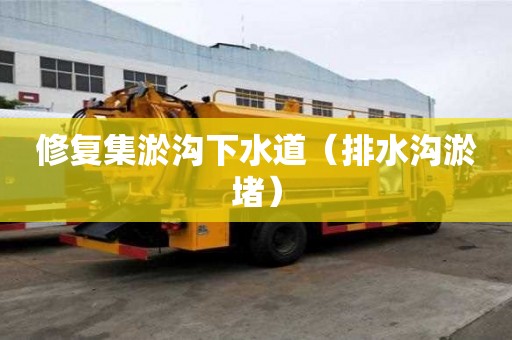 修復集淤溝下水道(排水溝淤堵) 修復集淤溝下水道(排水溝淤堵)