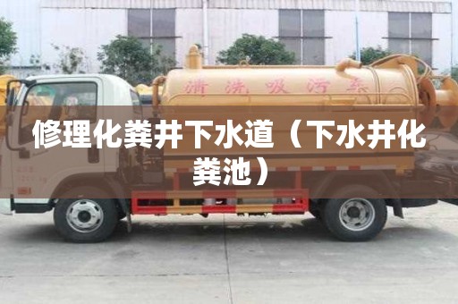 修理化糞井下水道（下水井化糞池）