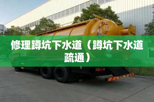 修理蹲坑下水道（蹲坑下水道疏通）
