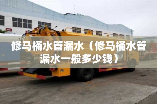 修馬桶水管漏水（修馬桶水管漏水一般多少錢）