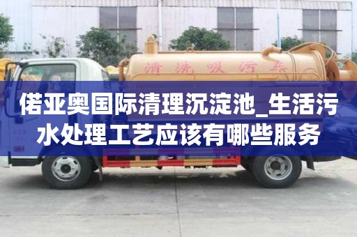 偌亞奧國際清理沉淀池_生活污水處理工藝應該有哪些服務