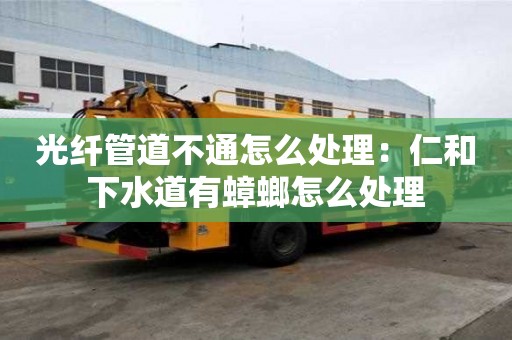 光纖管道不通怎么處理：仁和下水道有蟑螂怎么處理