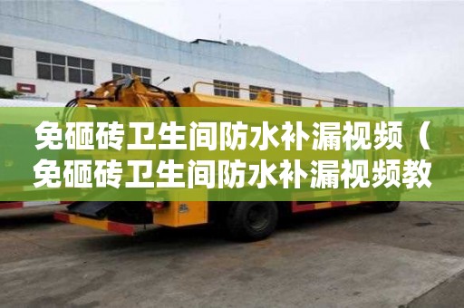 免砸磚衛生間防水補漏視頻（免砸磚衛生間防水補漏視頻教程）
